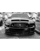 Ford Mustang 2005-2014  S197 Parts&Accessories